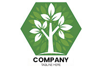 the young tree logo