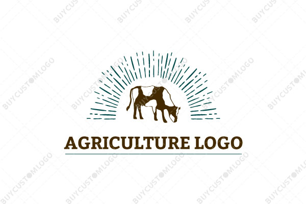 holstein cow with rays logo