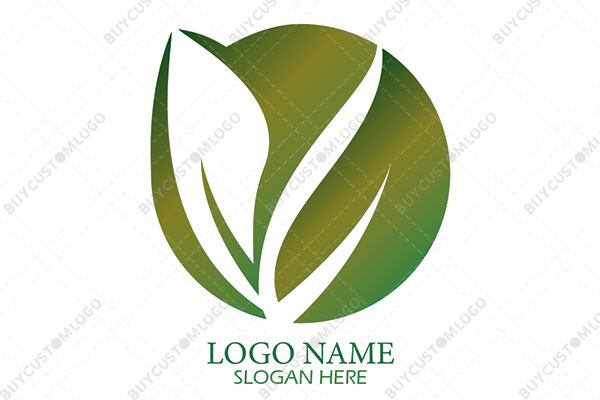 leaf in a pill logo