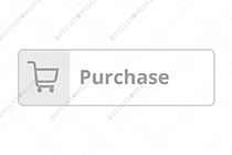 minimal grey purchase button