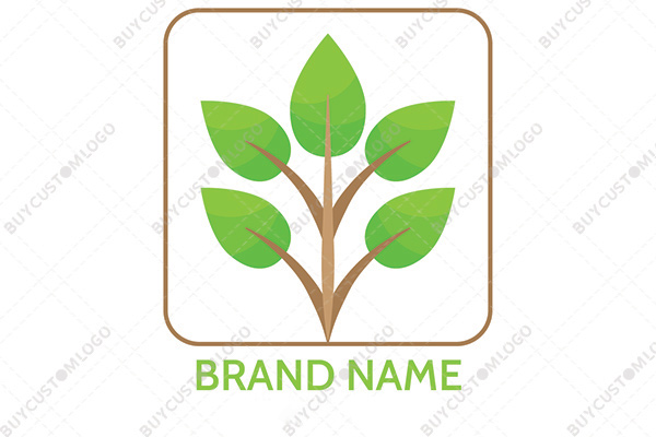 branch with leaves minimalistic logo