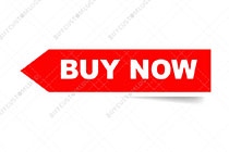 ribbon style arrow red and white BUY NOW button