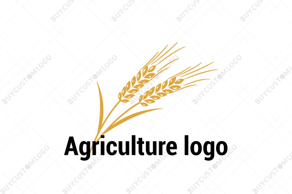 wheats waving in the air with typography logo