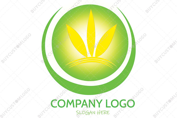 abstract weed in a round seal and crescent moon logo