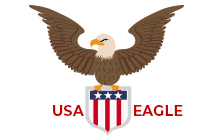 aggressive bald eagle on flag shield badge logo