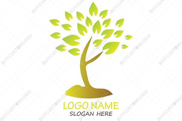 gradient golden and green logo