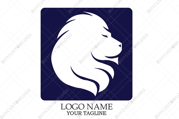 the calm lion in a square logo