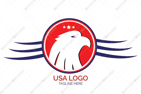 eye style coin with bald eagle and stars logo