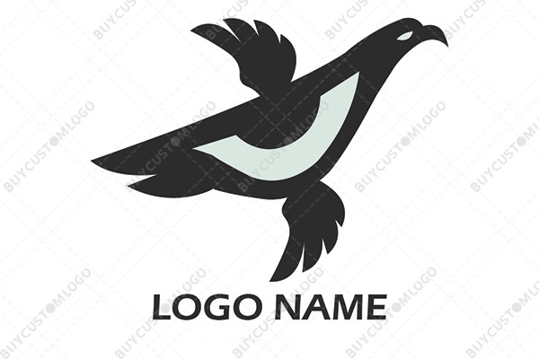 Focused eagle eye logo
