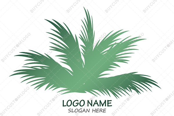 coconut tree crown cannabis logo