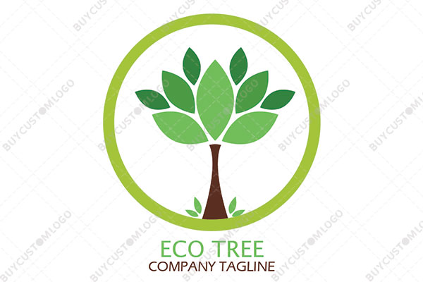 hand drawn tree in a seal logo