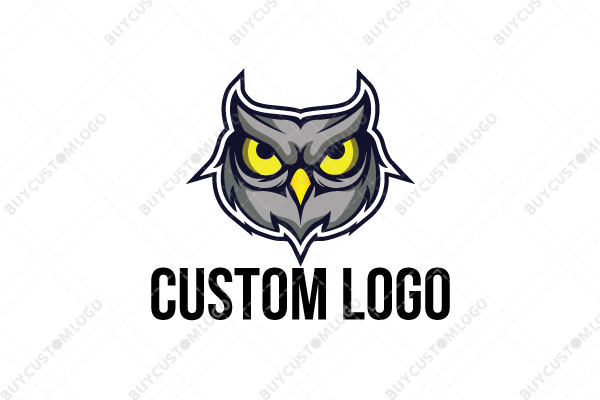 focused owl yellow and grey logo