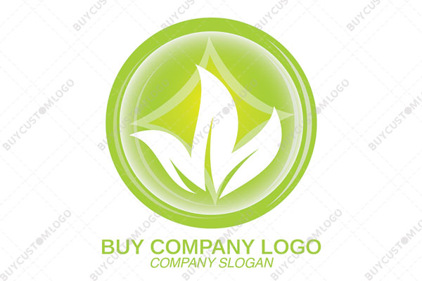 four pointed star and leaves in a round seal logo