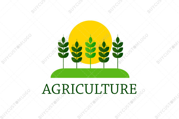 stems on a ground with sun logo