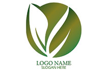 leaf in a pill logo