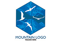The reflection of a frozen mountain logo