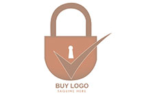 lock with an abstract check mark logo