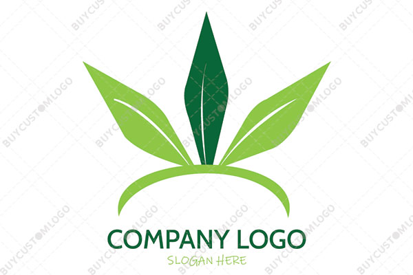 circular line and leaves abstract weed logo
