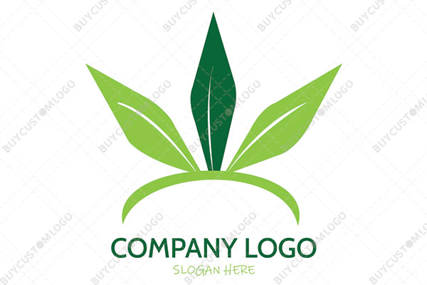 circular line and leaves abstract weed logo