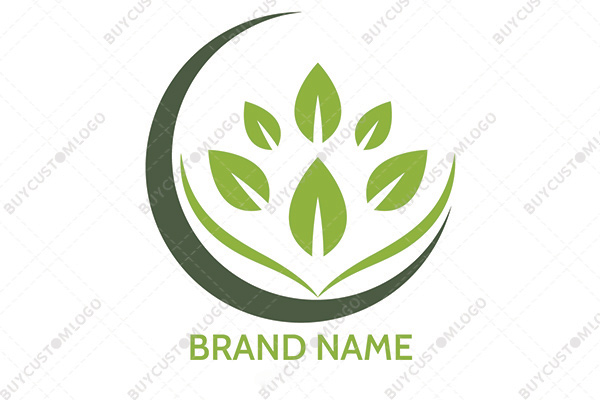 the basket of leaves logo
