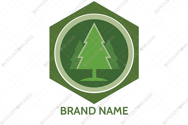 the dark green christmas logo