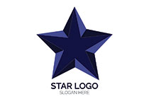 3D style blue star logo