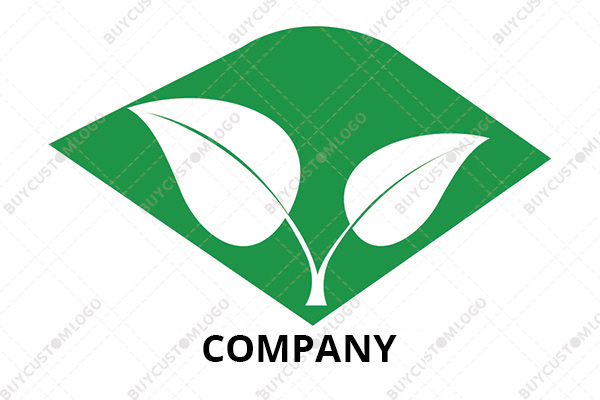 minimalistic money plant logo