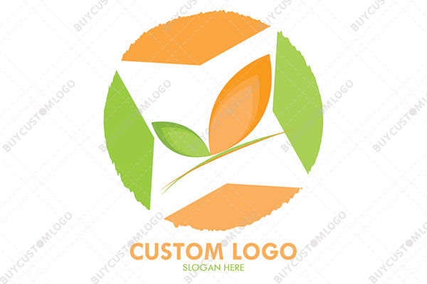 four pointed star and leaves in a circle logo