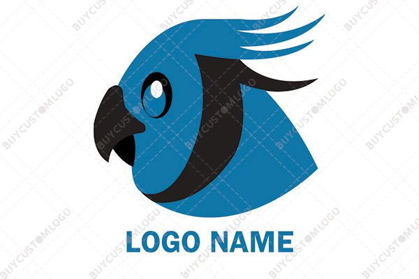 Blue american parrot logo
