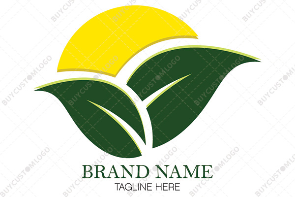sun and leaves logo