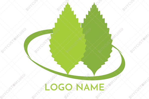 minimalistic pointy leaves logo