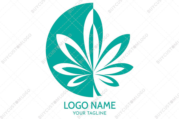 cyan and white semi circle with a weed logo