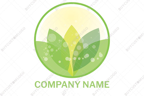 leaves and bubbles logo