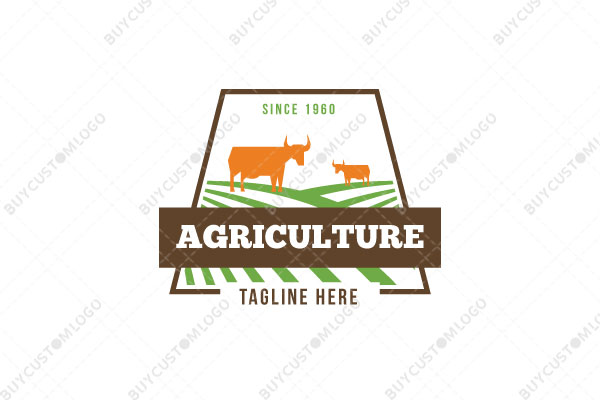 cows on fields in a trapezium logo