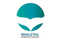 whale tail in a seal logo