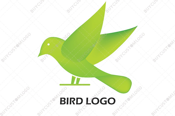 Minimalistic green dove logo