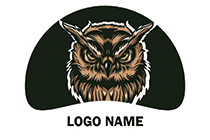 aggressive realistic feathery owl logo