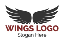 shadow wings logo