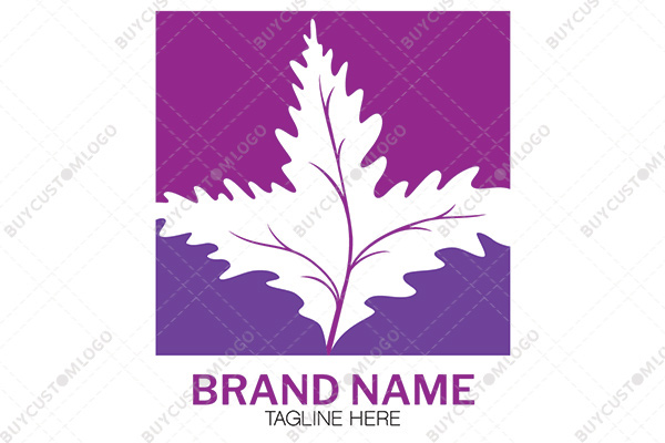 pink and indigo modified maple leaf