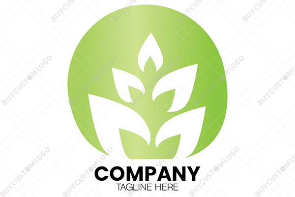 enlightening leaves logo
