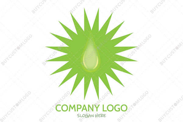 liquid drop in a star price tag logo