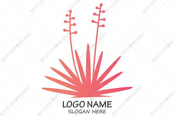 pink lotus with filaments logo