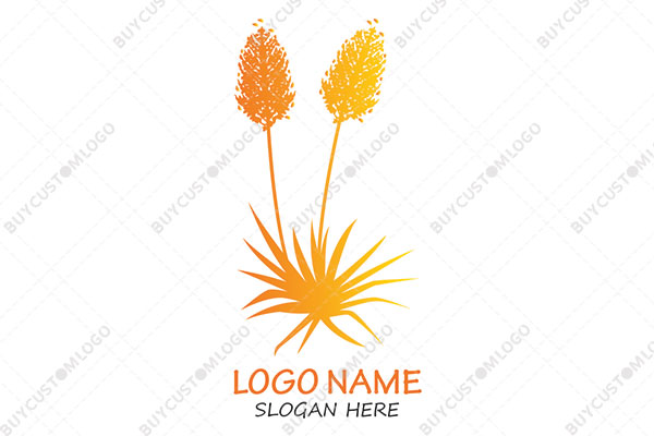 dandelion wheats fiery logo