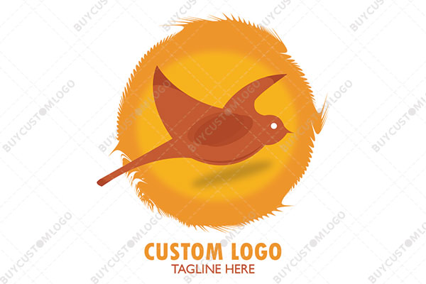 the flying dove with a sun logo