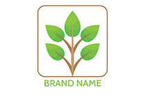 branch with leaves minimalistic logo