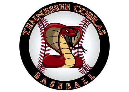 Customize Company Logo