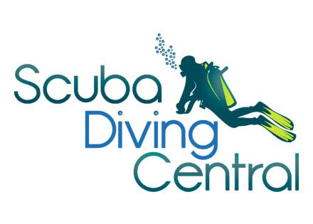 Customize Company Logo